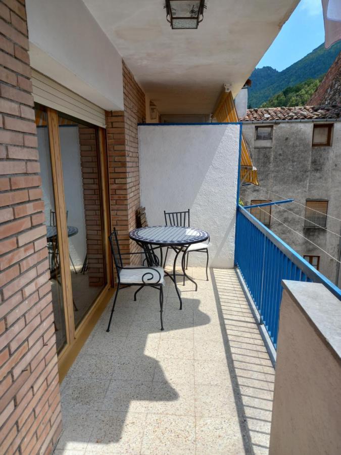 Ferienwohnung Pis Acollidor Amb Llar De Foc, Al Centre Camprodon Exterior foto