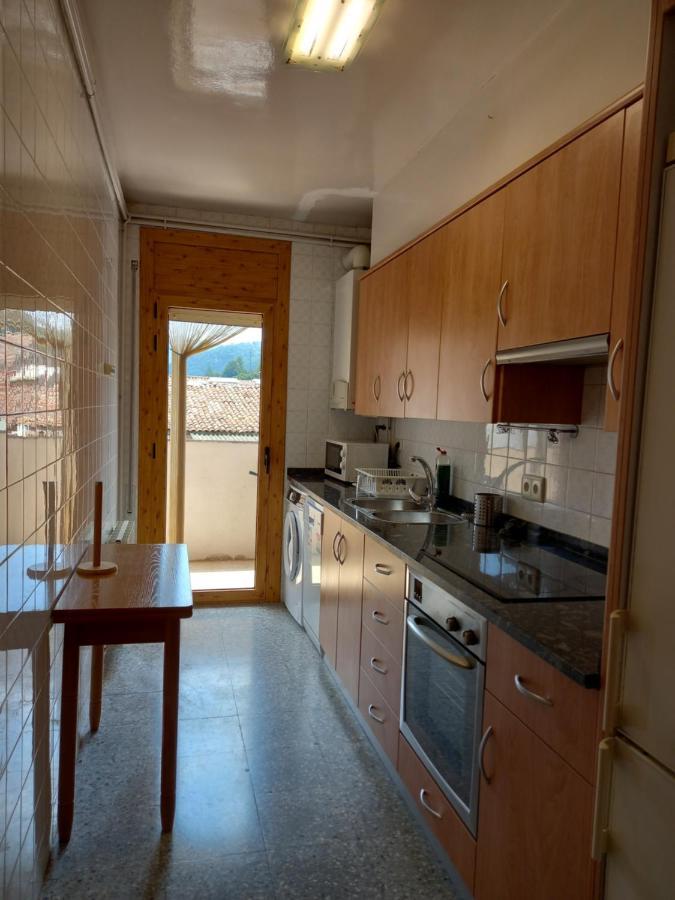 Ferienwohnung Pis Acollidor Amb Llar De Foc, Al Centre Camprodon Exterior foto