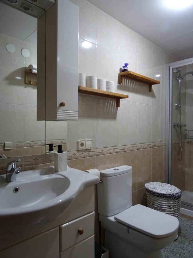 Ferienwohnung Pis Acollidor Amb Llar De Foc, Al Centre Camprodon Exterior foto