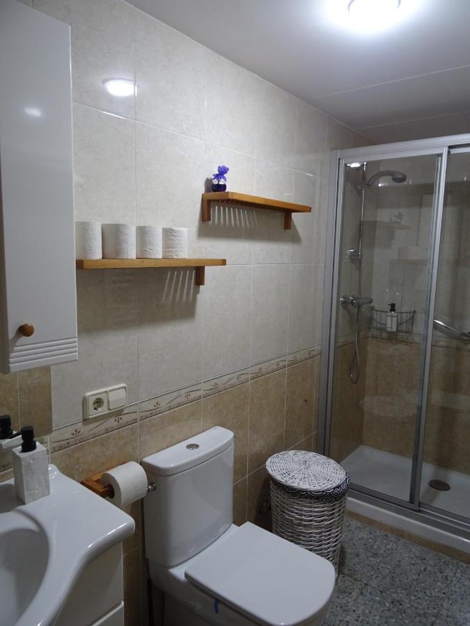 Ferienwohnung Pis Acollidor Amb Llar De Foc, Al Centre Camprodon Exterior foto
